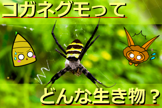 Thumbnail of post image 155